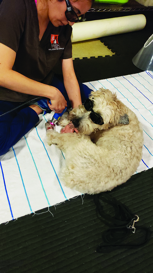 Hyperbaric and Laser Therapy for Acute Wound Pressure Necrosis