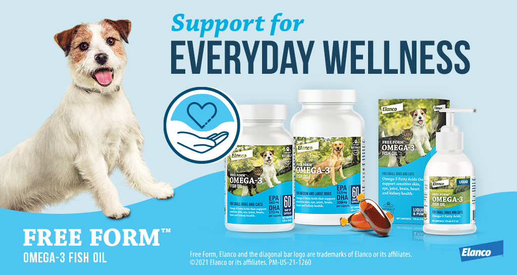 Omega3 fatty acids for sensitive skin and more Today's Veterinary