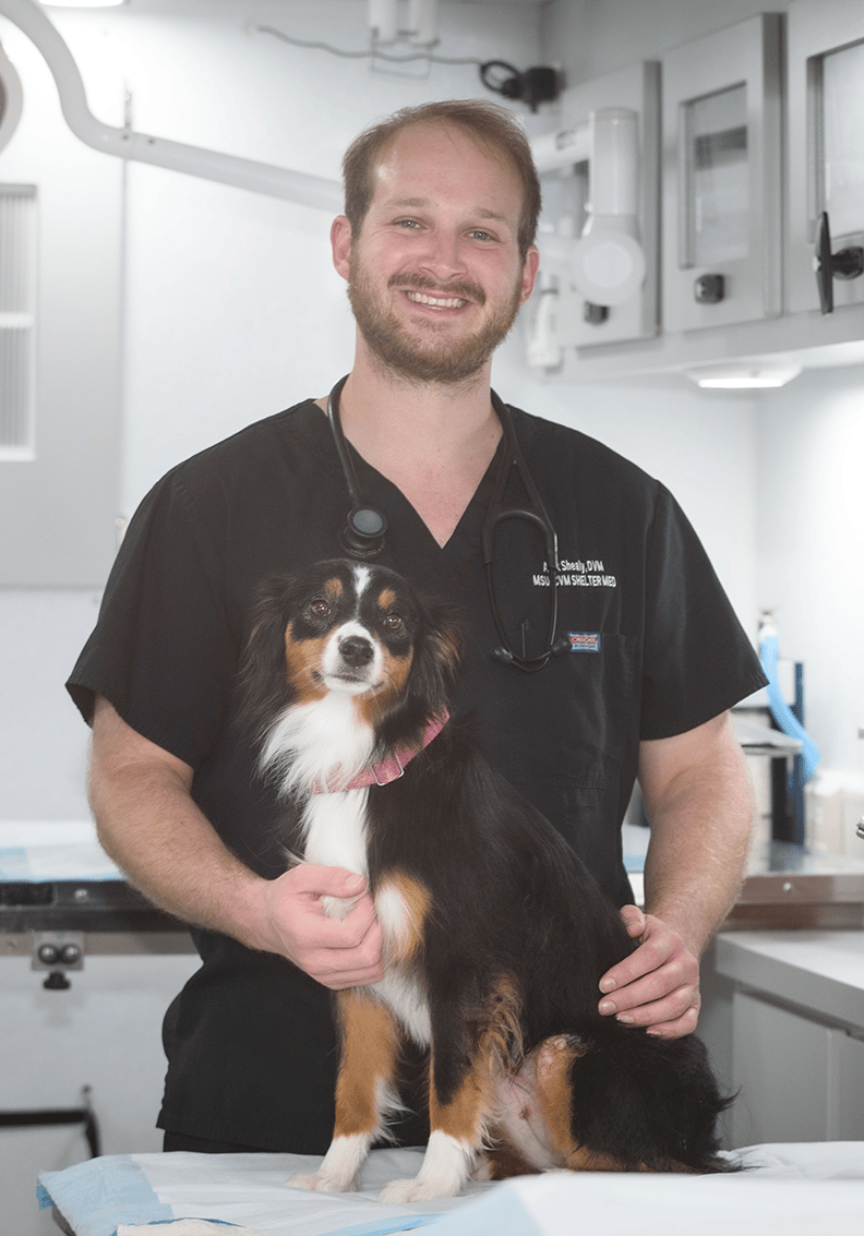 Alex P. Shealy Today's Veterinary Practice