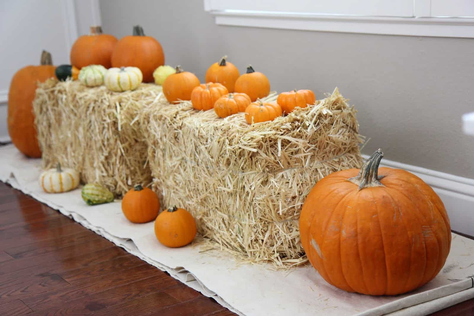 Pumpkin Patch Pretend Play {+ Learning Resources Giveaway} Toddler