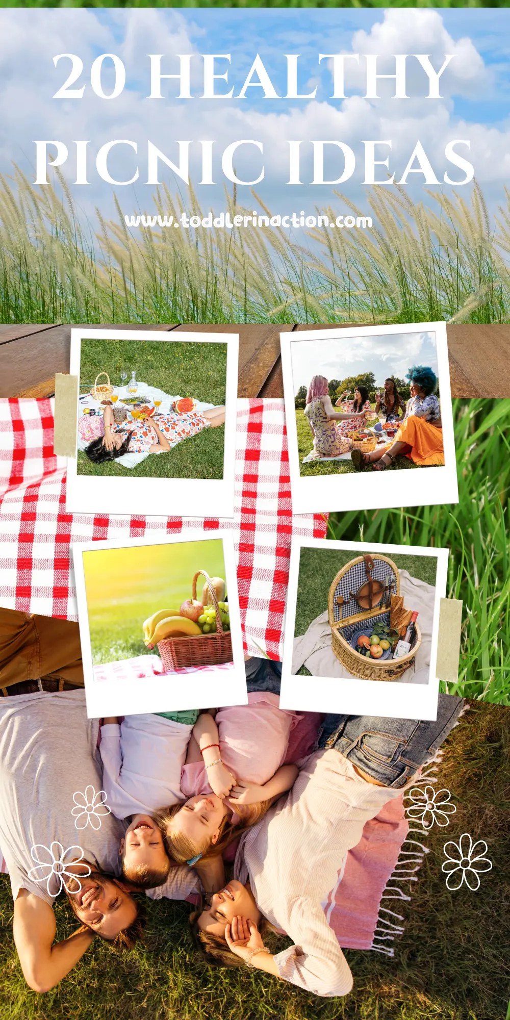 20 Healthy Picnic Food Ideas For Kids Toddler in Action