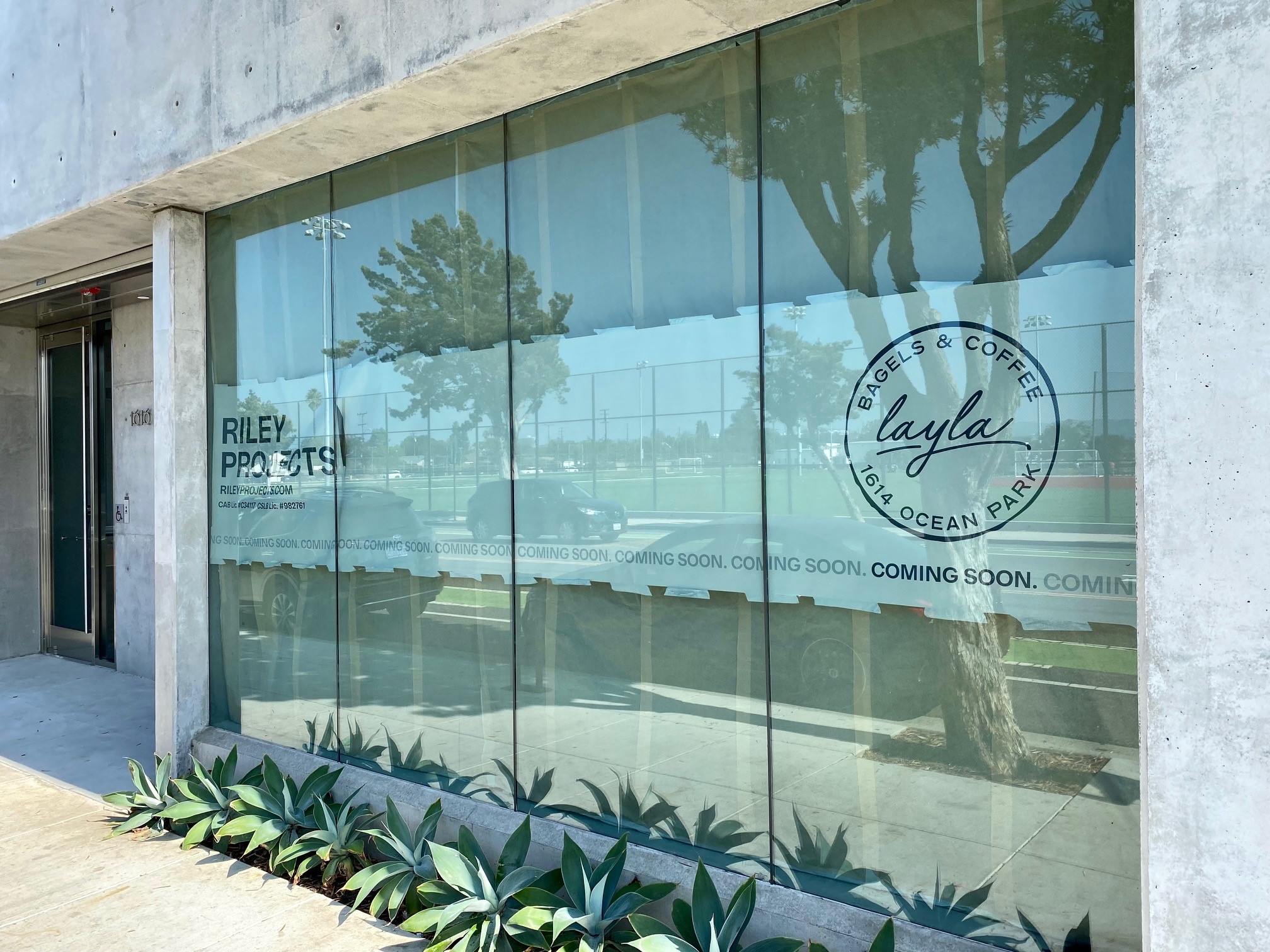 Layla Bringing Bagels & Coffee To Santa Monica Toddrickallen