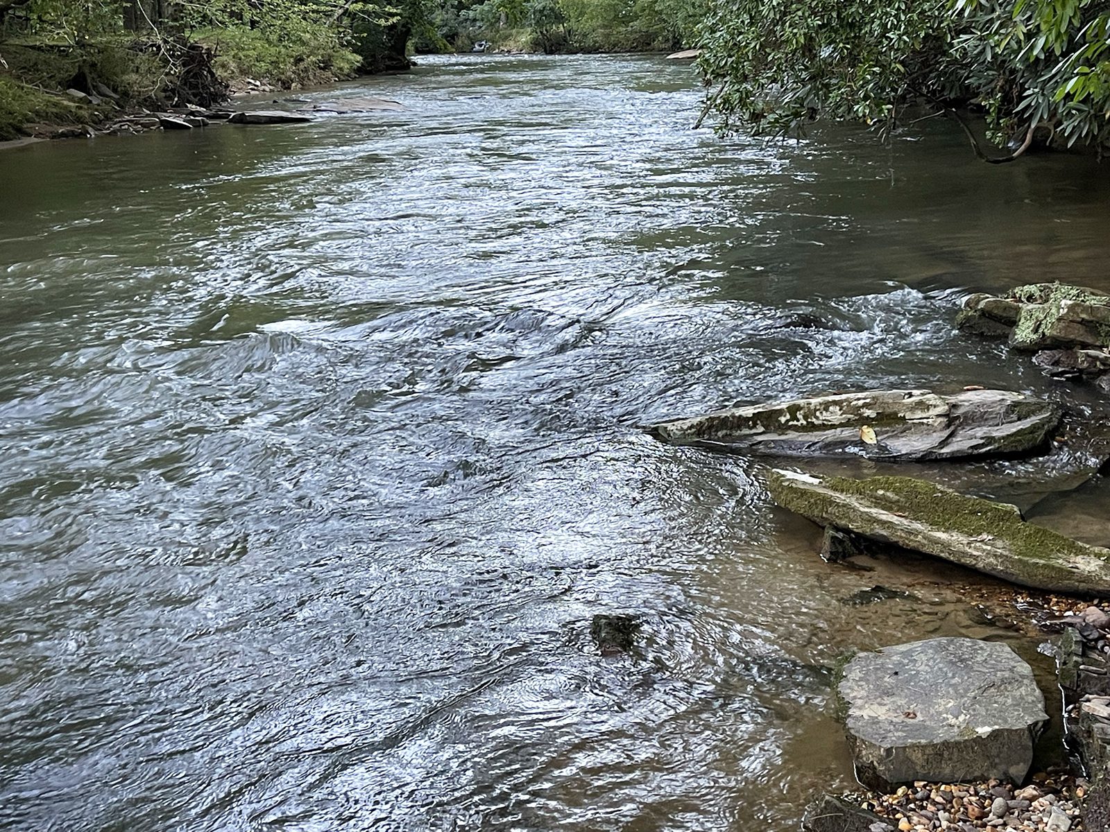 Coosawattee River Resort Lot for Sale Coming Soon Todd Withrow