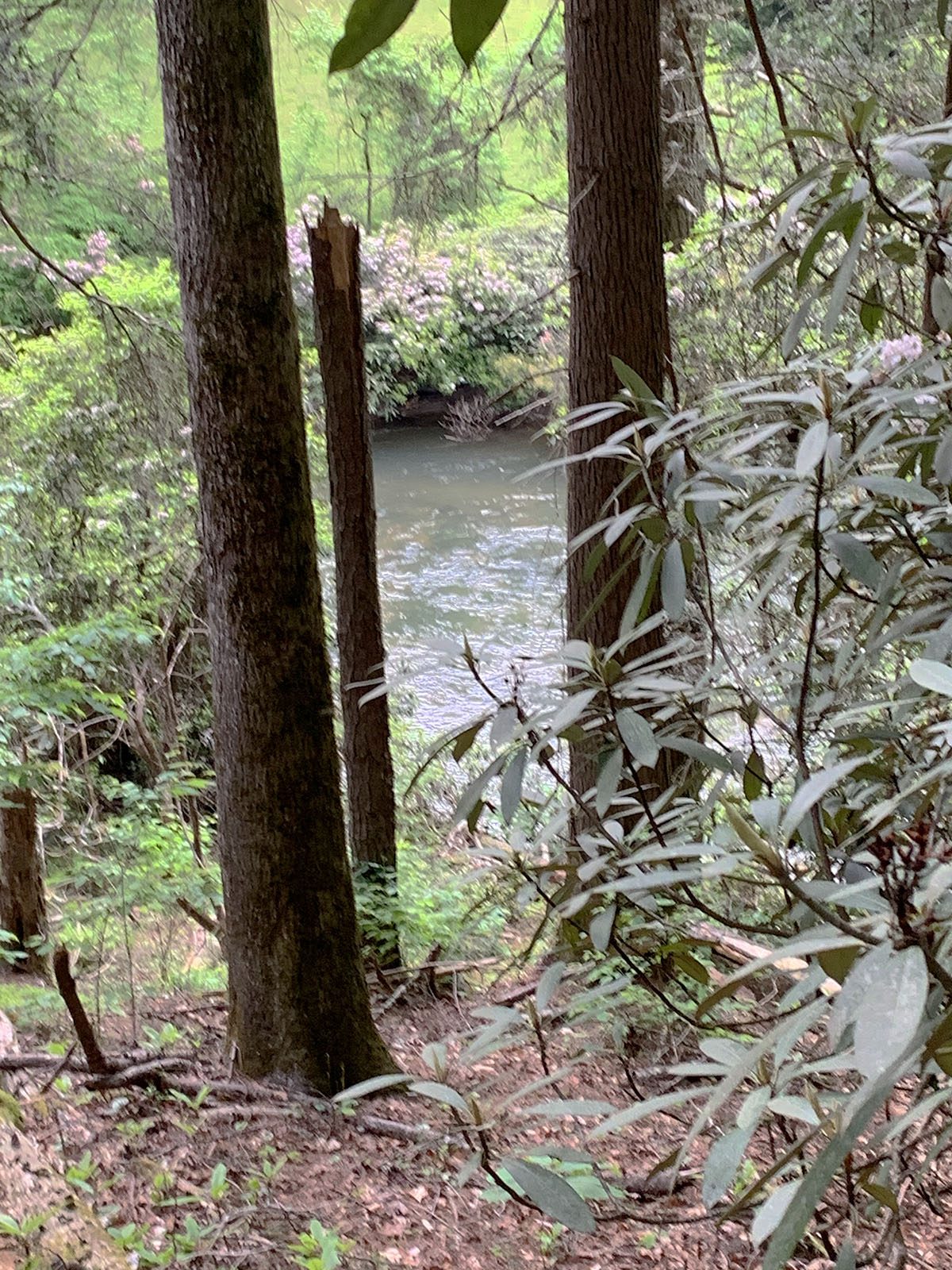 Coosawattee River Resort Lot for Sale Coming Soon Todd Withrow