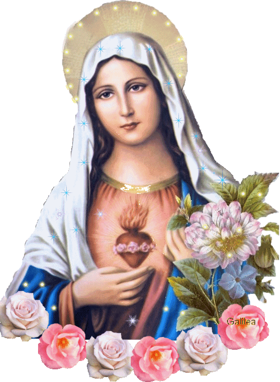Imágenes de gif de la virgen maria