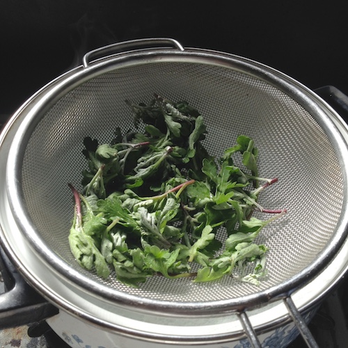 ヨモギ茶の作り方☆そこら辺に生えてるよもぎを使って0円健康茶 ｜ トドログ