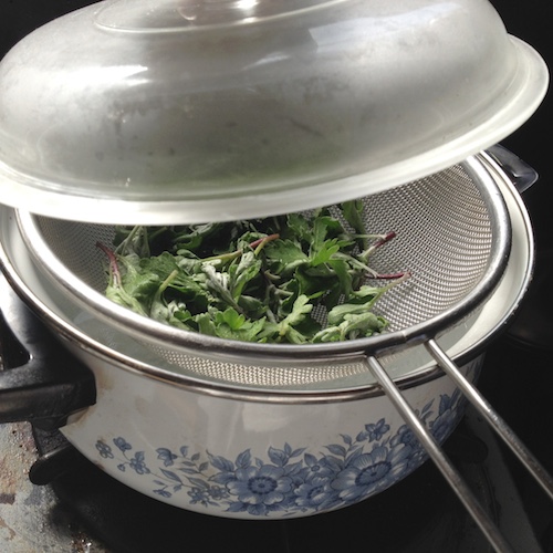 ヨモギ茶の作り方☆そこら辺に生えてるよもぎを使って0円健康茶 ｜ トドログ