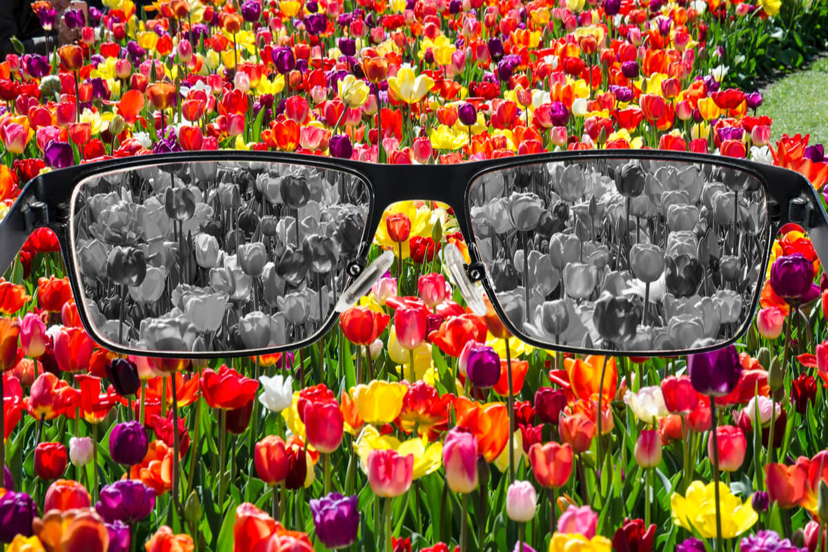 Gafas para daltónicos: ¿realmente funcionan? - IOTT