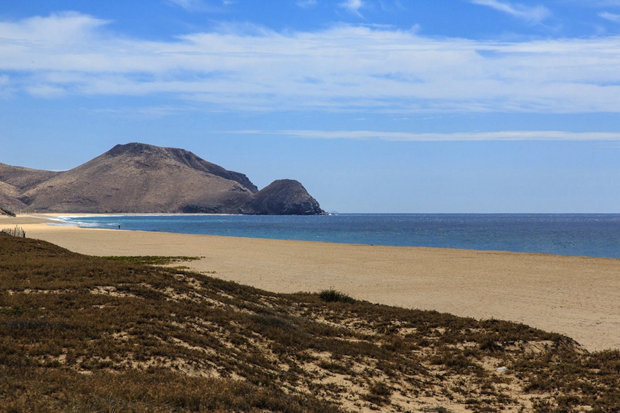 Ricardo Amigo Real Estate Todos Santos Official site Baja California Sur Mexico
