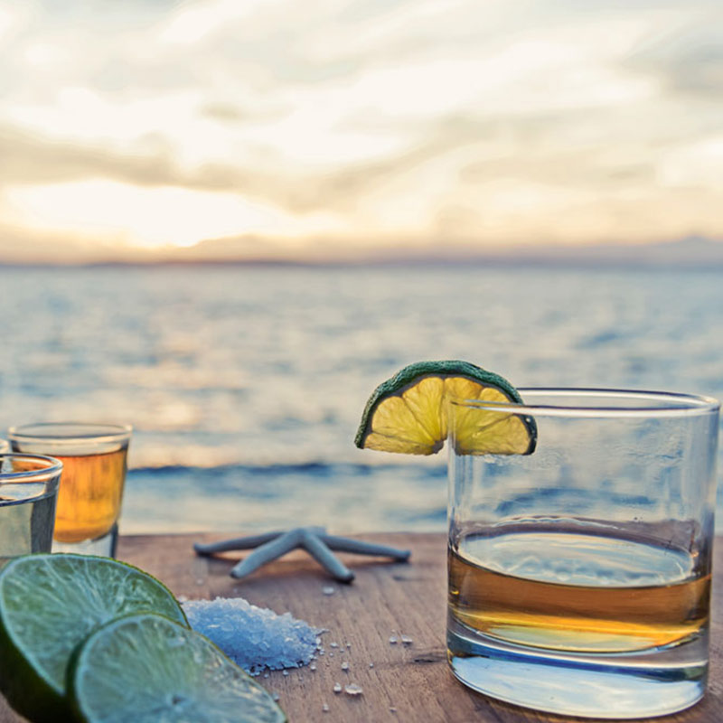 Tequila Tasting Tulum Todo Tulum