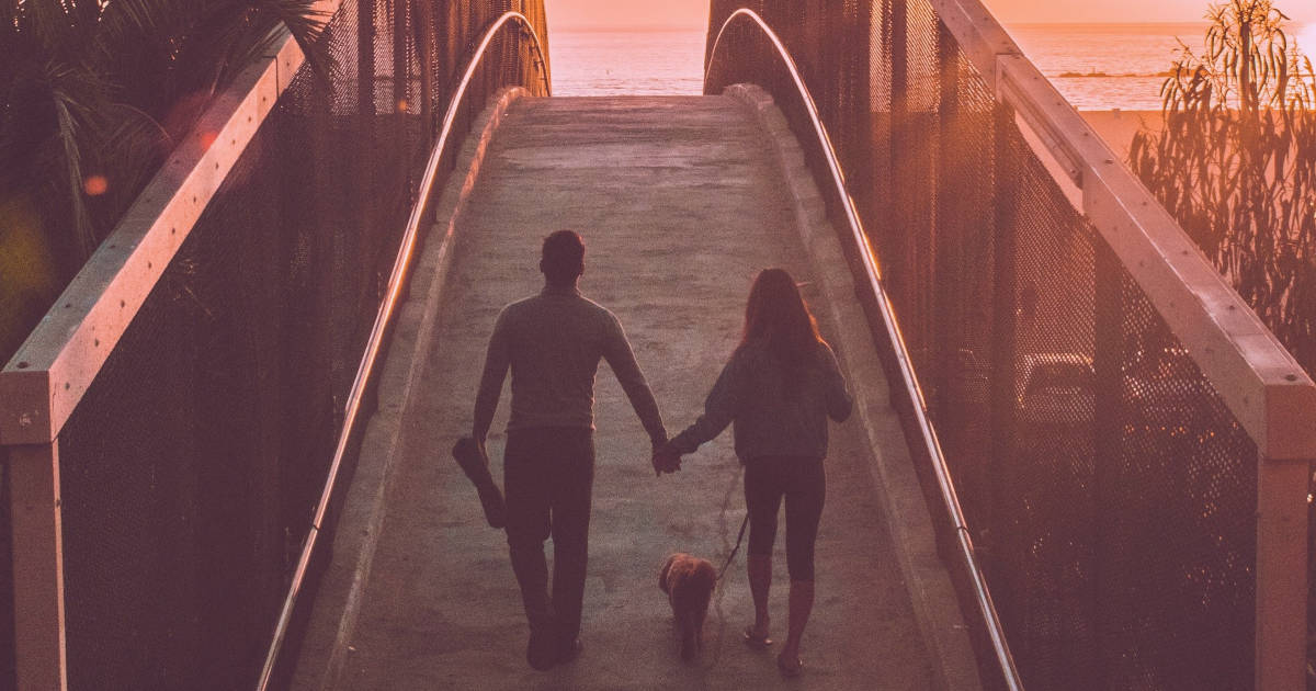 Preparing for Your Dog's Euthanasia 10 Thoughts for Peace Dr. Buzby