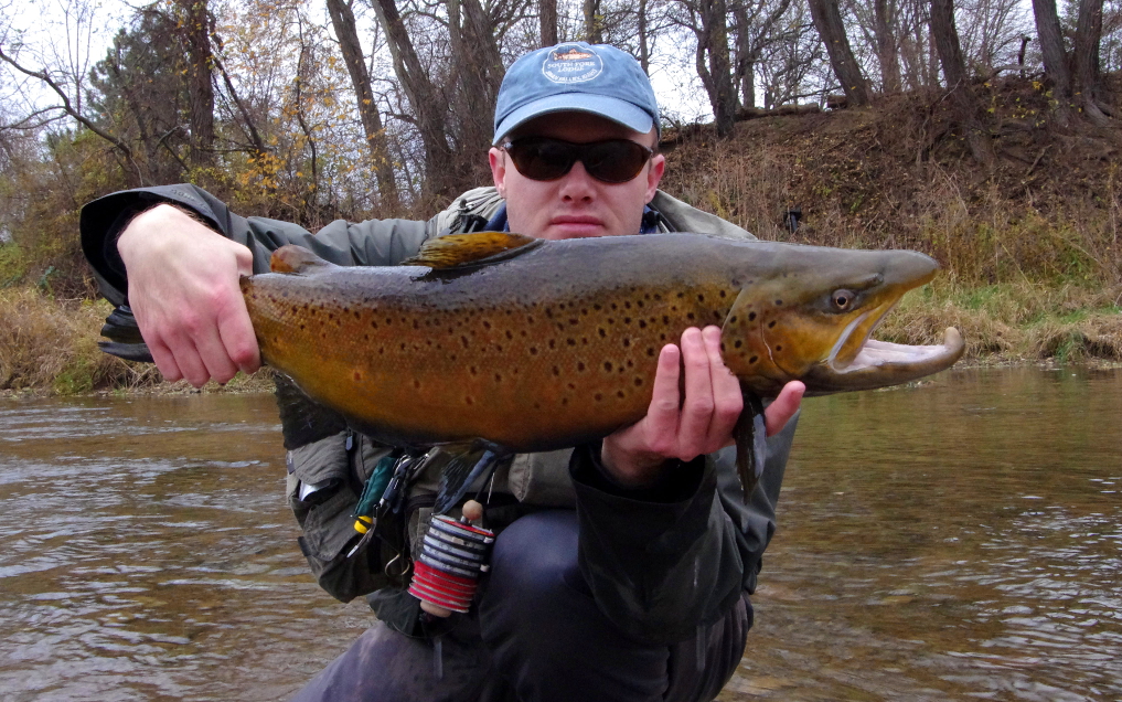 FLY FISHING NYMPHS IN CLEAR WATER [VIDEO] ToFlyFish