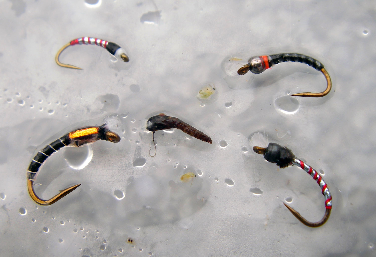 FLY FISHING WITH CHIRONOMIDS THE ESSENTIALS