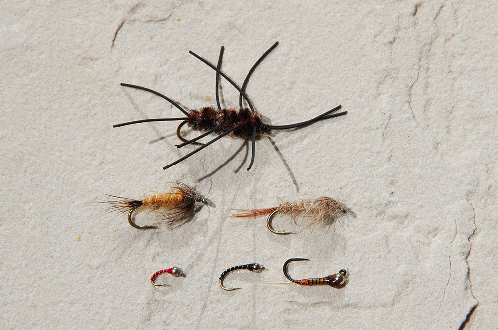 NYMPH FLIES ToFlyFish