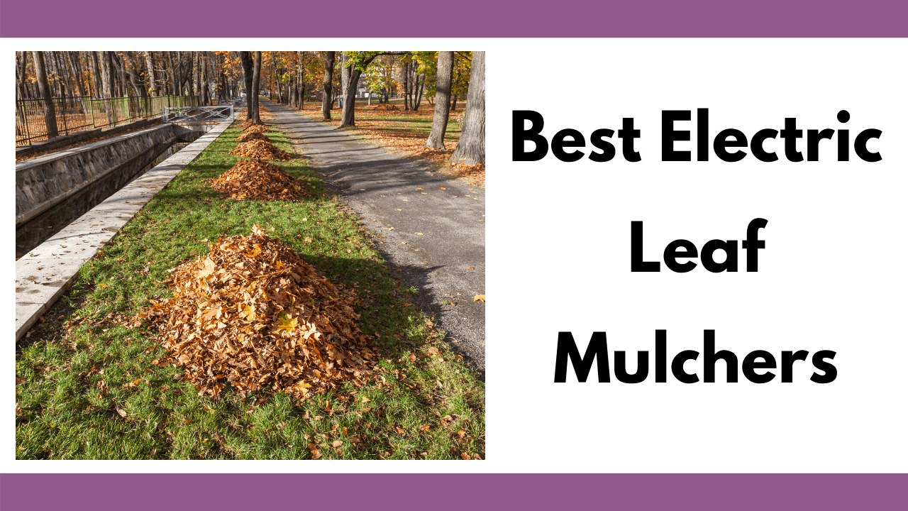 Electric Leaf Mulchers - Together Time Family