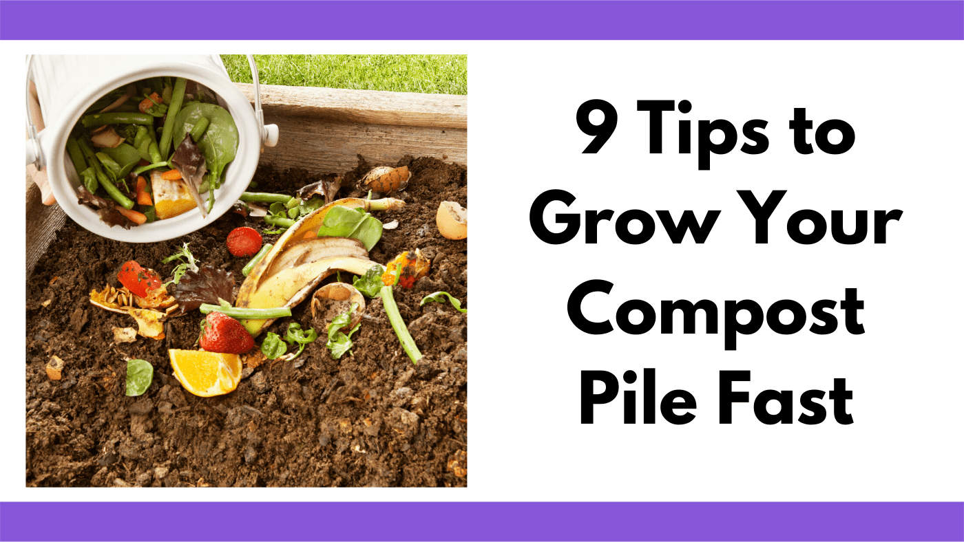 How to Grow Your Compost Pile Fast Together Time Family
