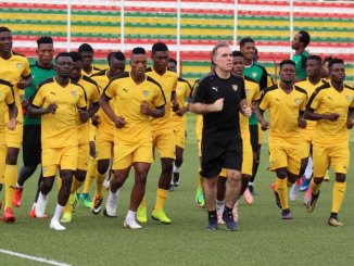 perviers du togo
