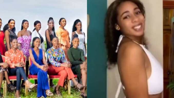 Miss Togo Toutouni Santorini