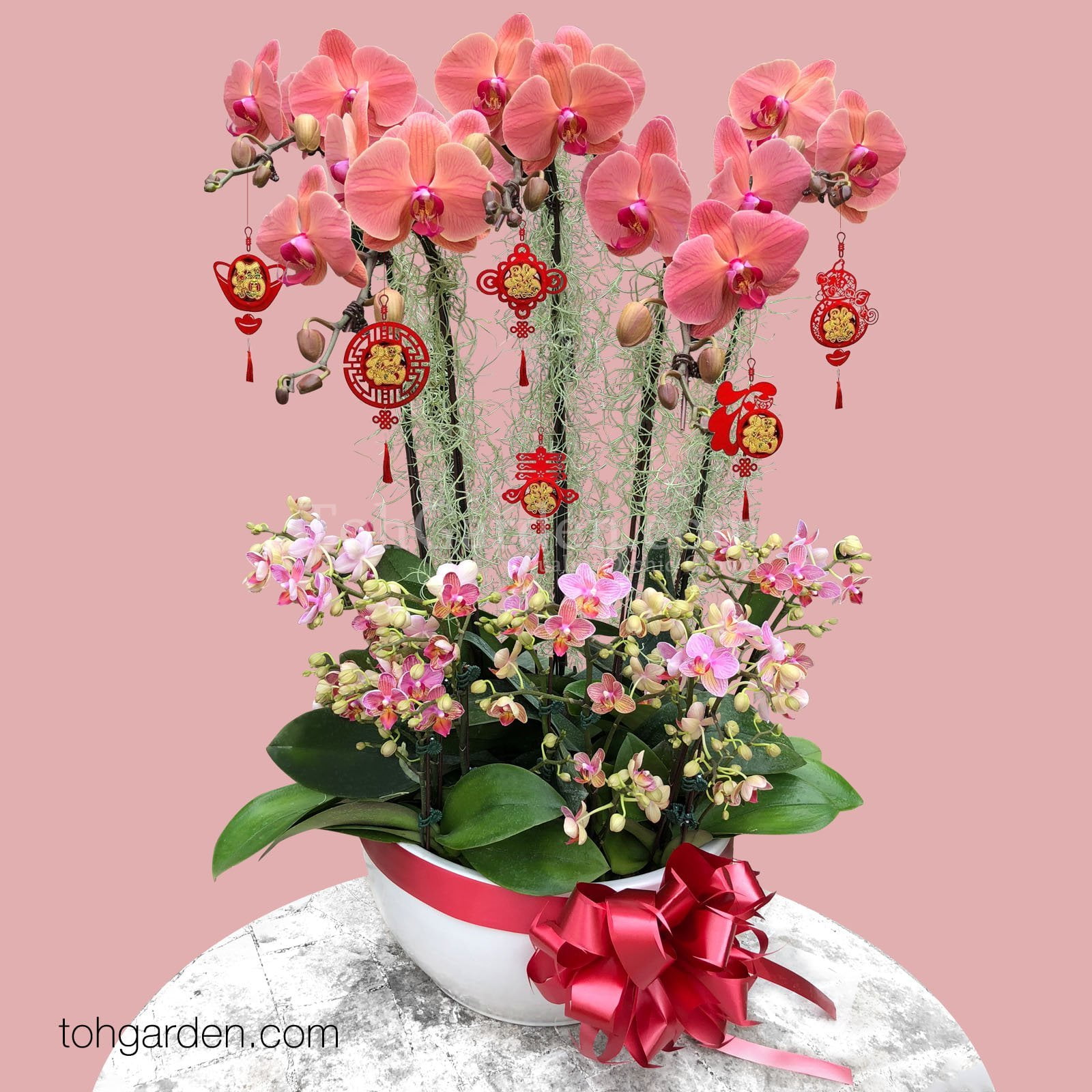 CNY Phalaenopsis Special Arrangement Toh Garden Singapore Orchid