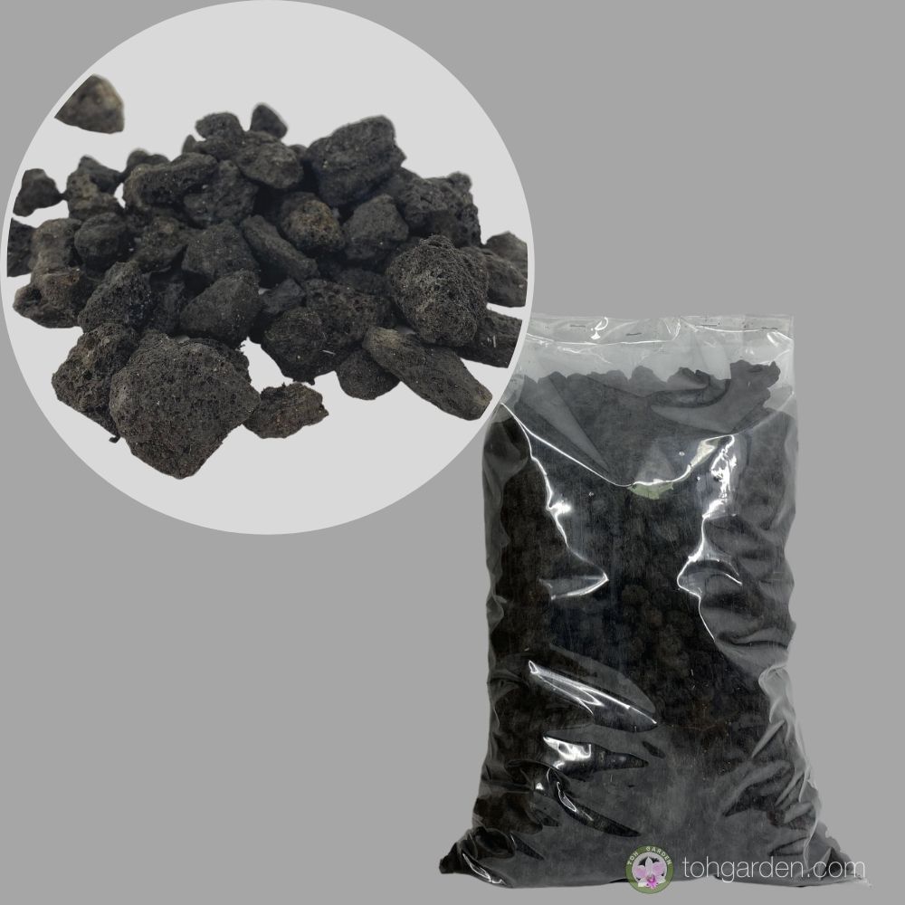 Black Lava Rocks (5L 10mm) Toh Garden Singapore Orchid Plant