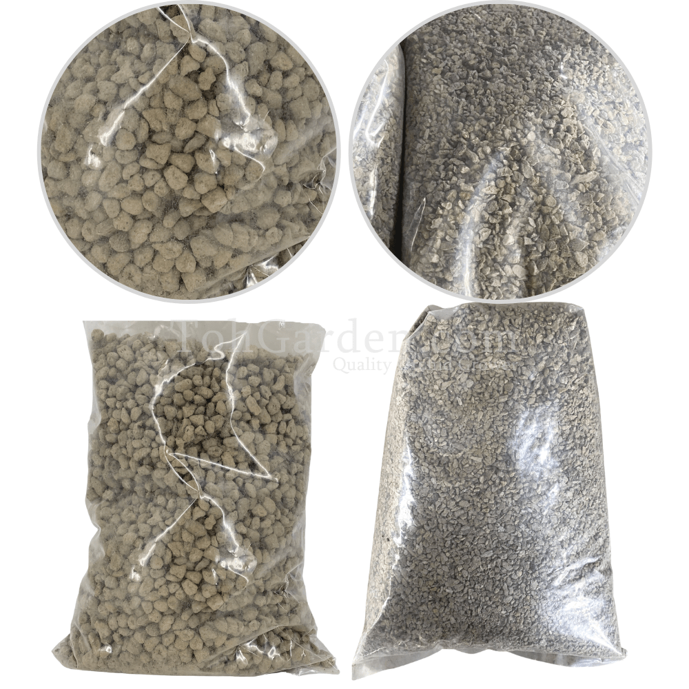 Pumice Stone Toh Garden Singapore Orchid Plant & Flower Grower
