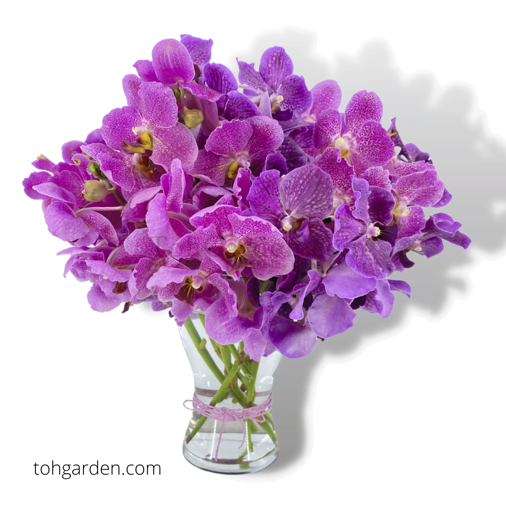 Inspiration Bloom Flower Arrangement Toh Garden Singapore Orchid