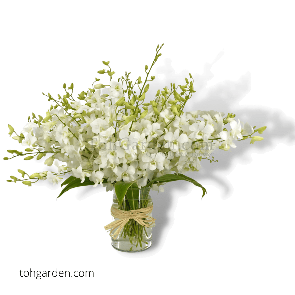 Thank You Flower Arrangement Toh Garden Singapore Orchid Plant