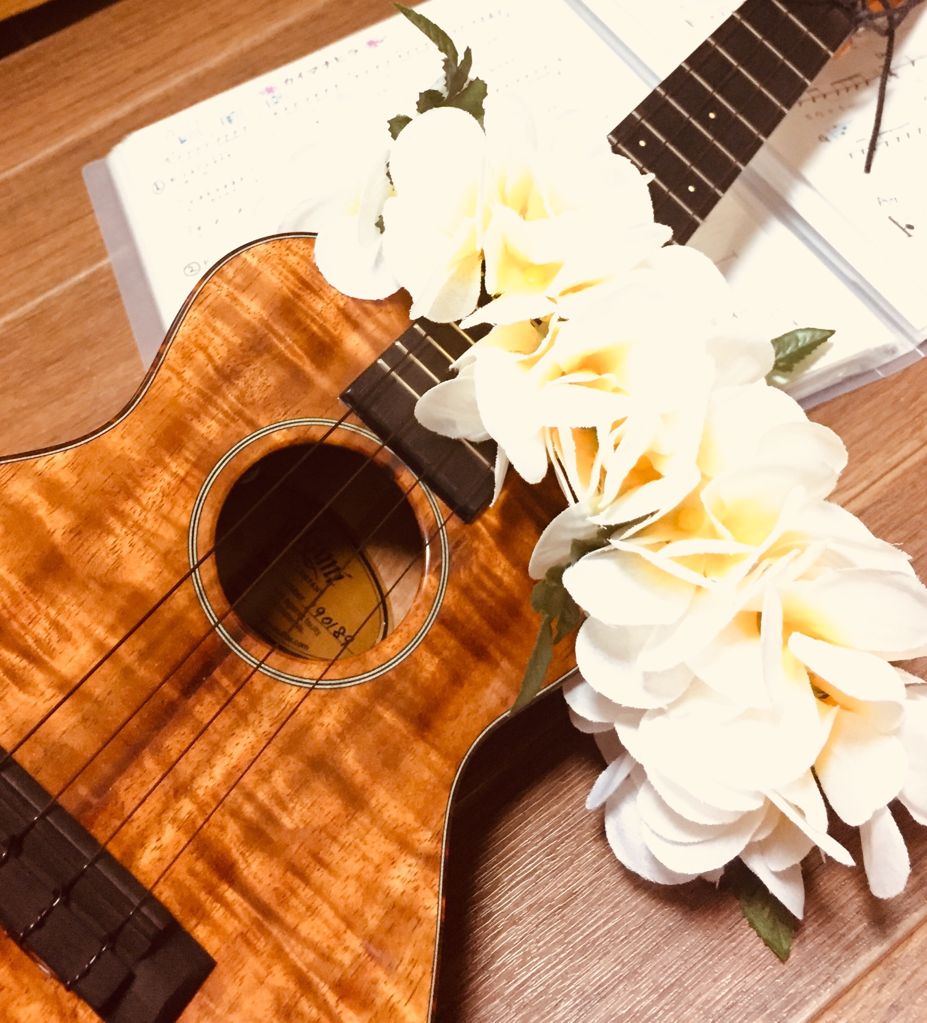 【ご予約品】 ハワイアンウクレレカンパニー ウクレレ