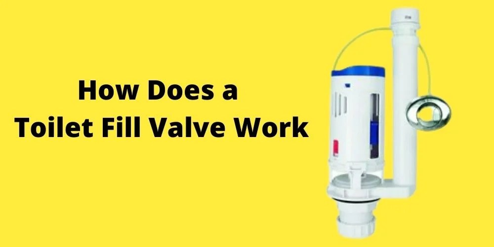 How Does a Toilet Fill Valve Work? Every Person Should Know