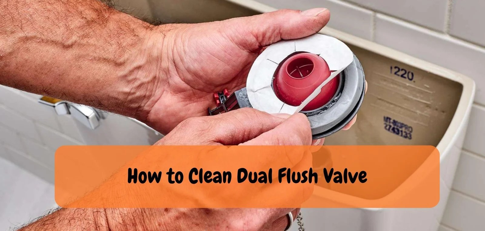 How to Clean Toilet Fill Valve? The Smart Guide!
