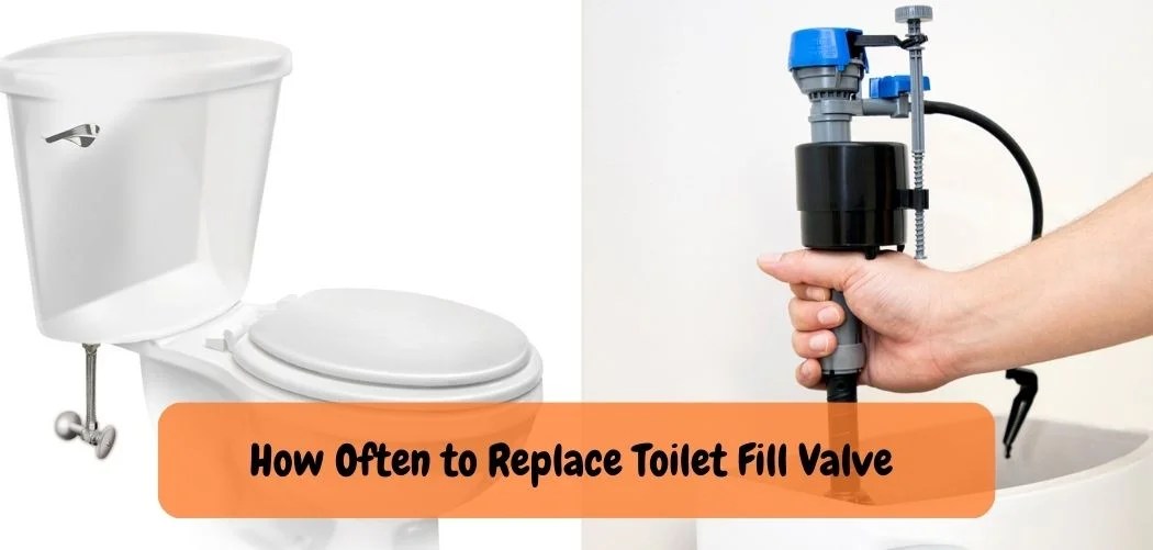 What Does a Plumber Charge to Replace a Toilet Fill Valve? Plumb