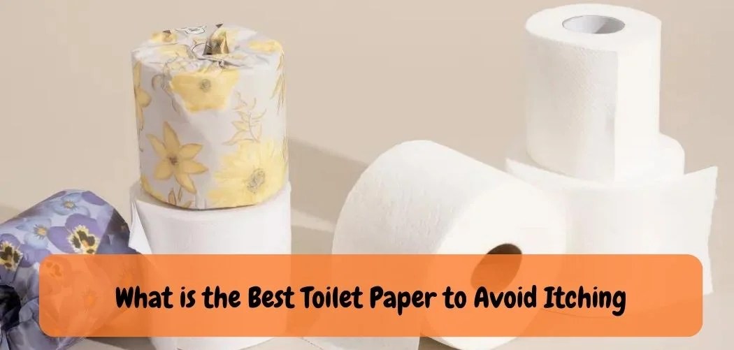 What is The Best Toilet Paper to Avoid Itching A RashFree Choice!