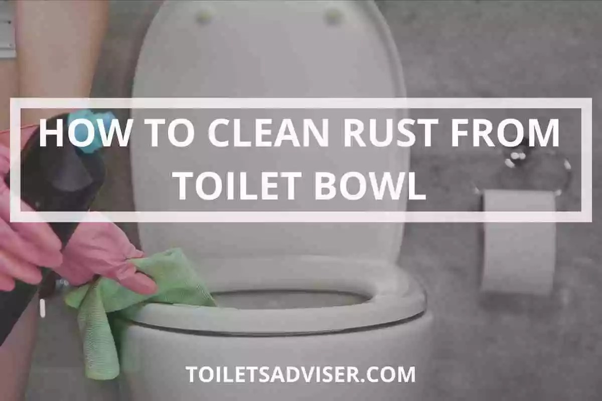 How to Clean & Remove Rust Stains From Toilet Bowl 2024