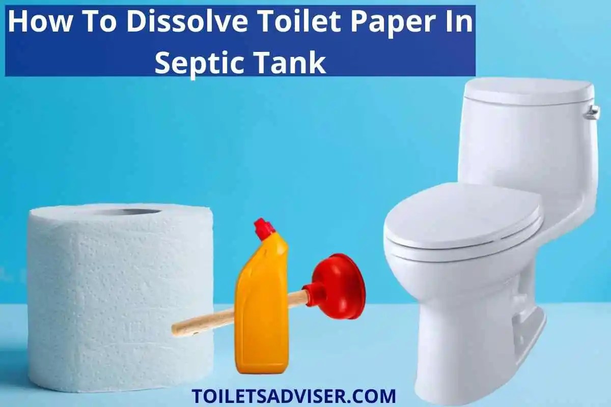 How To Dissolve & Toilet Paper In Septic Tank 2024