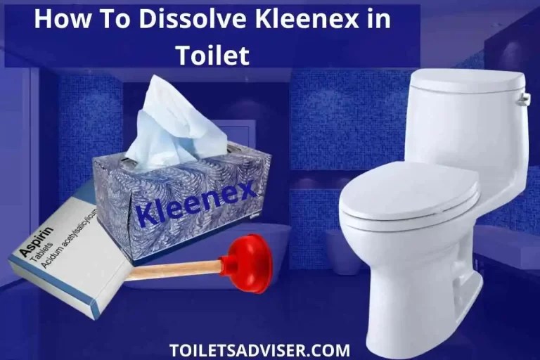 How To Remove Harpic Stains From Toilet Seat(Clean Seat)2024