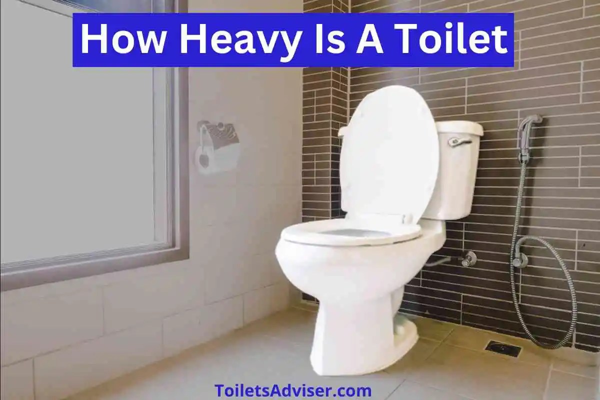 How Heavy Is A Toilet [How Much Does A Toilet Weigh] 2024