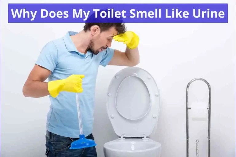Why Is My Toilet Water Blue(What Causes Make Blue Stain)2024