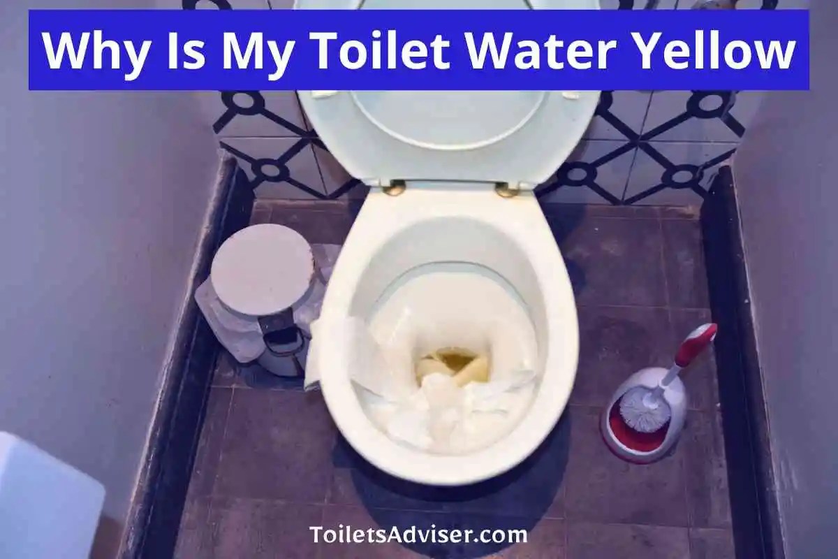 Why Is My Toilet Water Yellow [How To Fix Yellow Water] 2024
