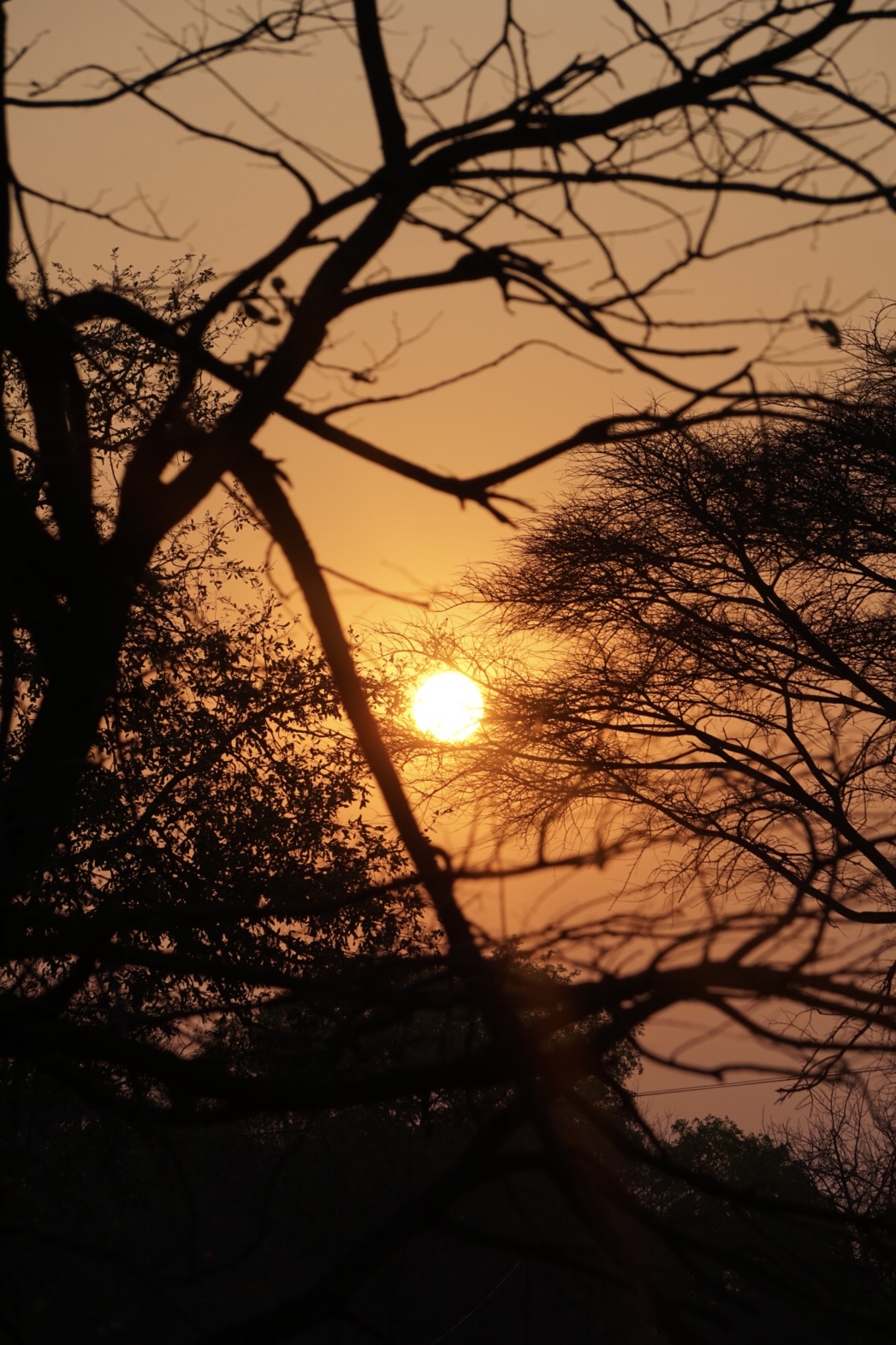 Top 4 Items to Keep You Cool