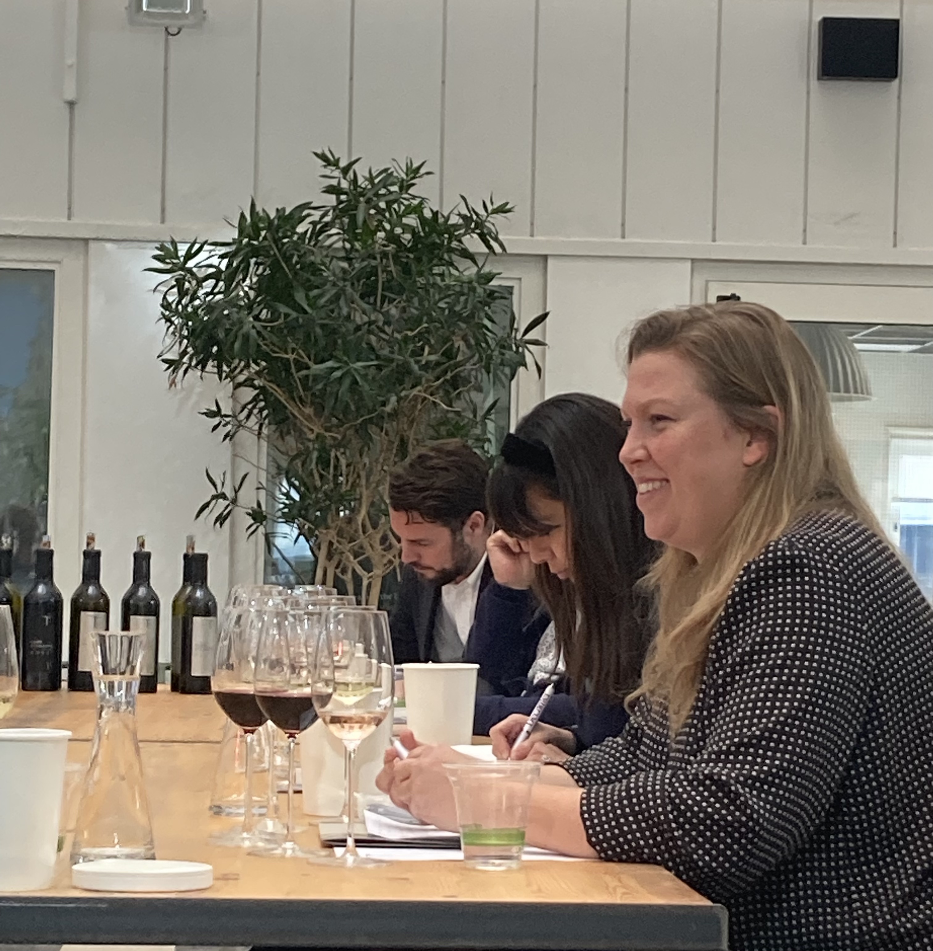 Decanter wine tasting in London Toinos