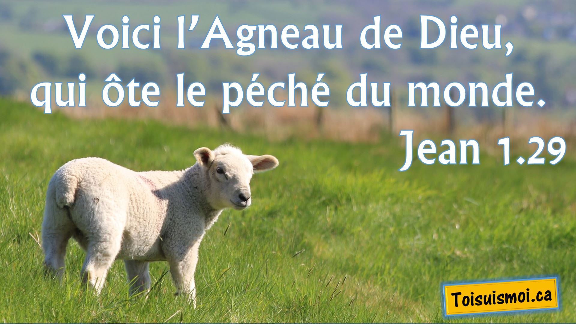 Audio L’agneau de Dieu Toi suis moi