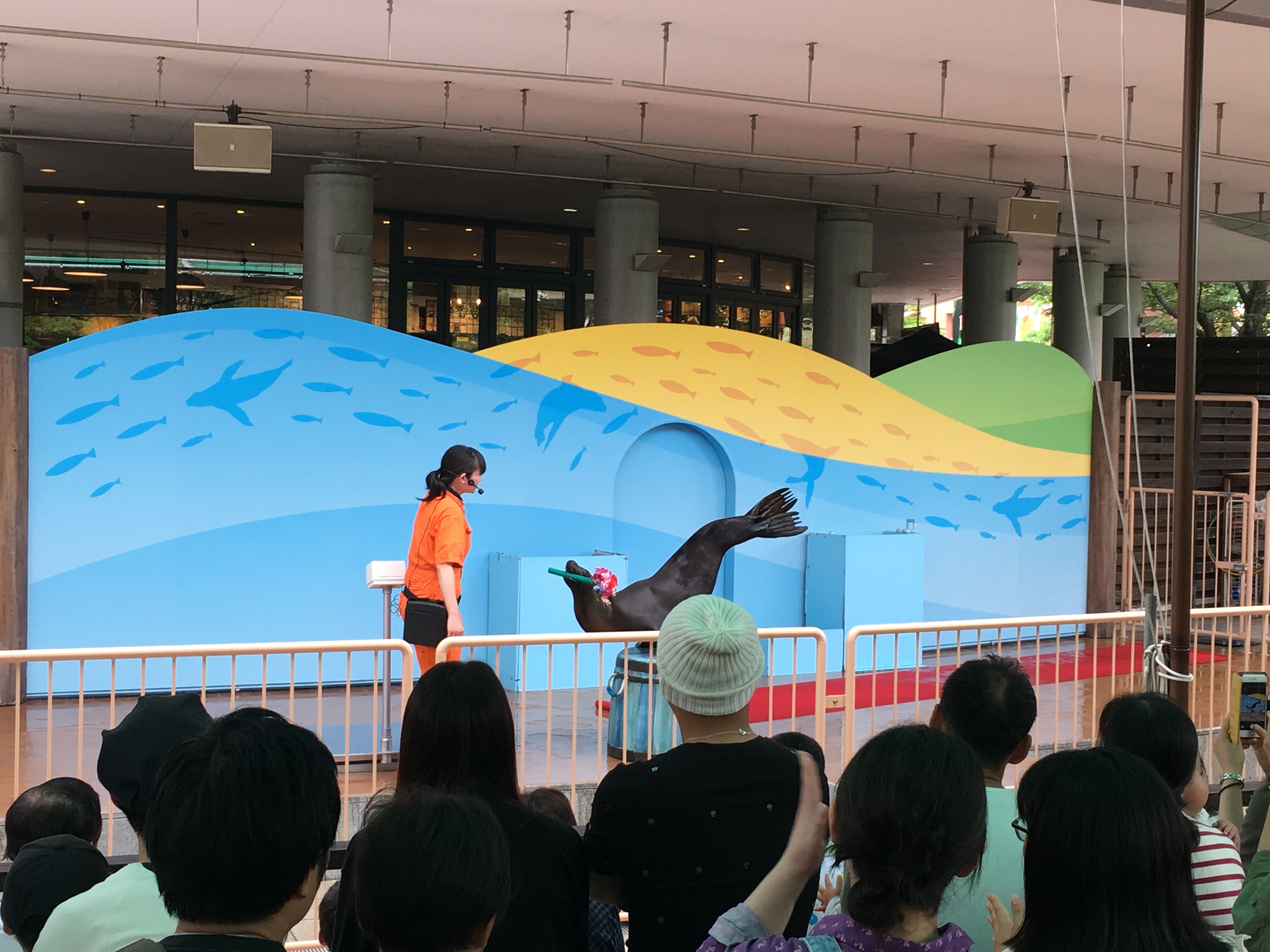 アクアトト岐阜を120％楽しもう！毎日＆期間限定イベントまとめ 東海enjoy navi