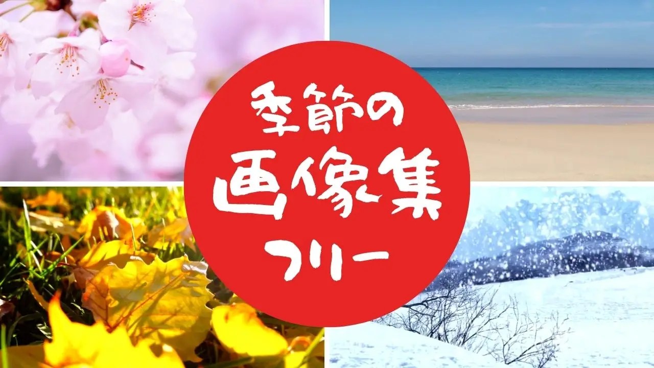 日本の季節ごとの伝統行事とその魅力を徹底解説！