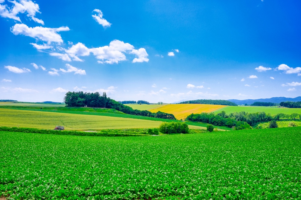 【20代向けモデルルート】レンタカーで行く十勝・帯広観光1泊2日の旅。 とかおび
