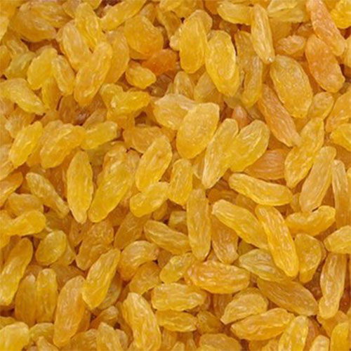 Long Golden Raisins Tokba Trading Export Dried Fruit,