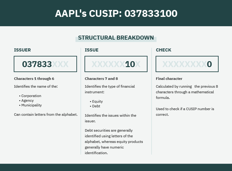 CUSIP Numbers Explained (2024) Everything You Need to Know(04)
