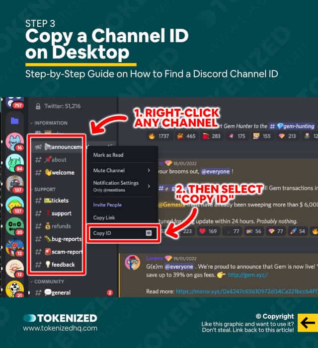 Solved How to Get a Discord Channel ID the Right Way — Tokenized