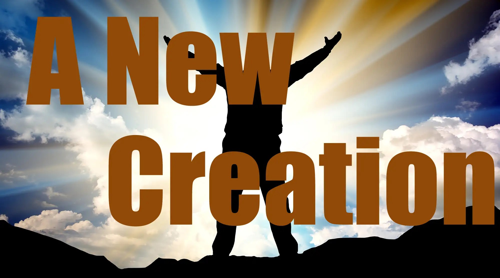 NEW_CREATION eBook Author