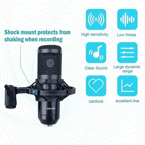 Professional Recording Condenser Microphone Ideal for Vocals toko.lk