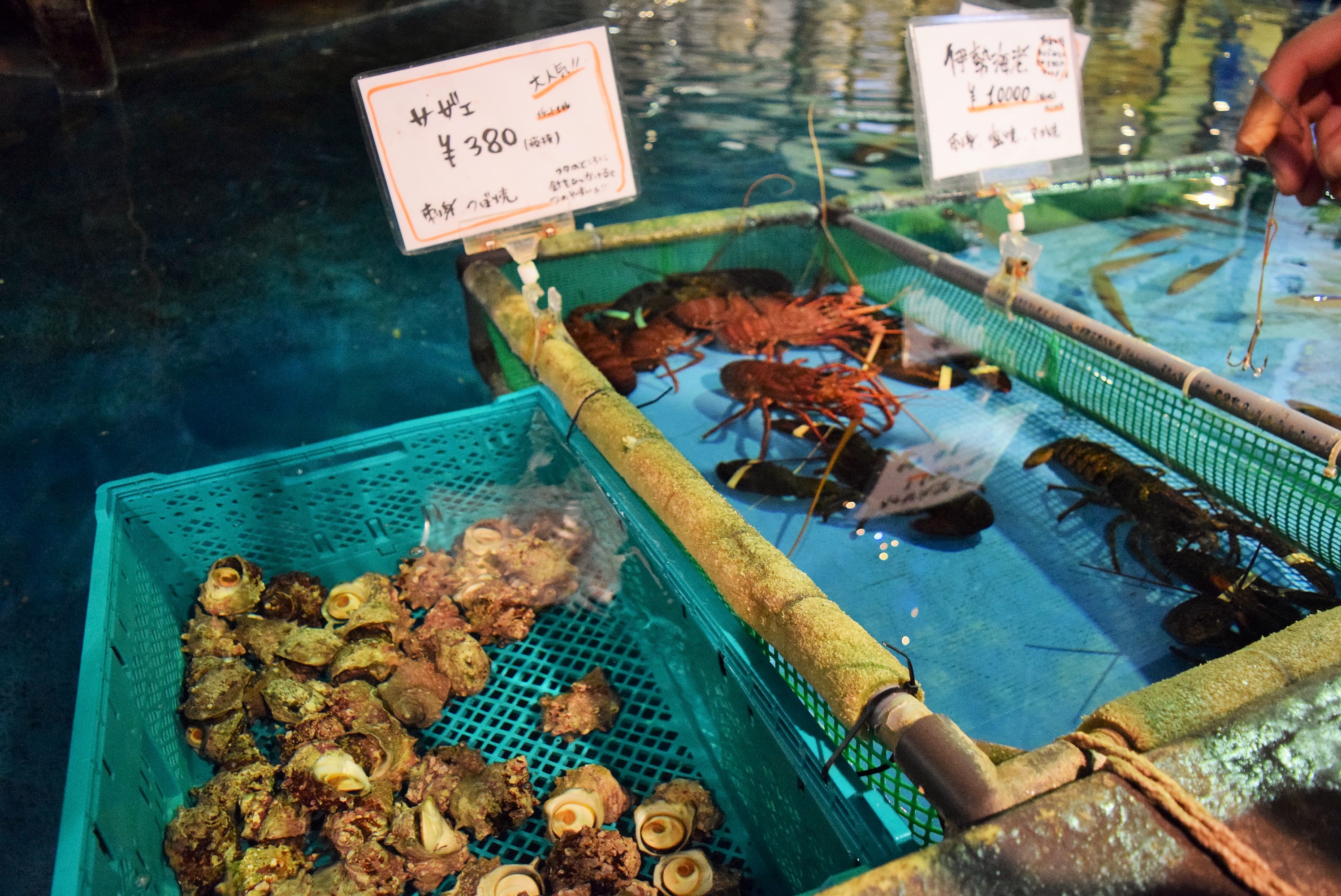 釣りができる居酒屋「ざうお」はこんなところ🎣 所沢なび 所沢なび 所沢の今がわかる地域メディア（お店やイベント情報満載）